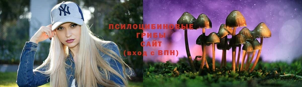 ECSTASY Армянск