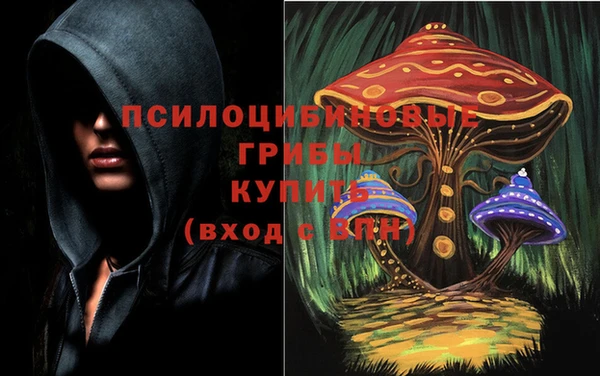 ECSTASY Армянск