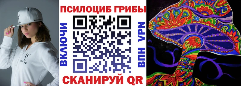 где можно купить наркотик  мега сайт  Галлюциногенные грибы Cubensis  Минусинск 