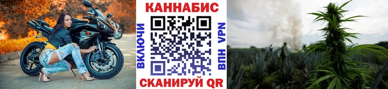 наркота  Минусинск  Марихуана Amnesia 
